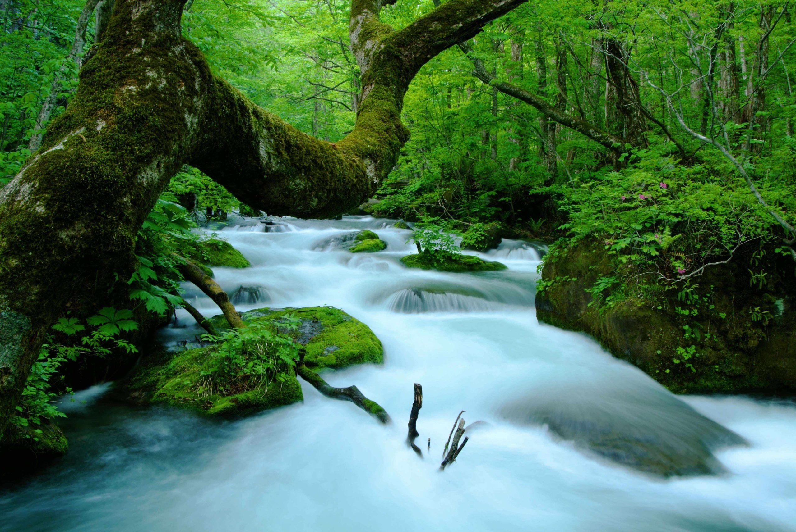 浄化槽事業のイメージ